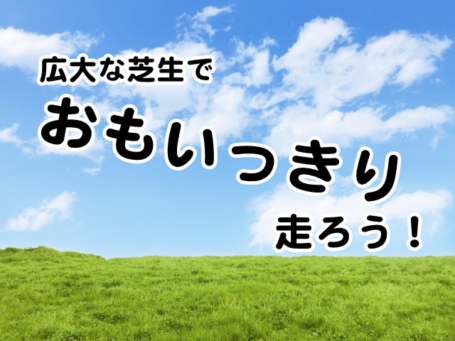 広大な芝生でおもいっきり走ろう!