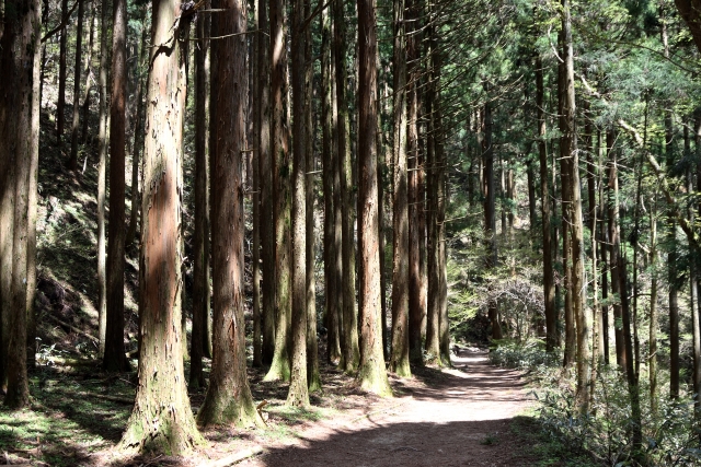 金剛山