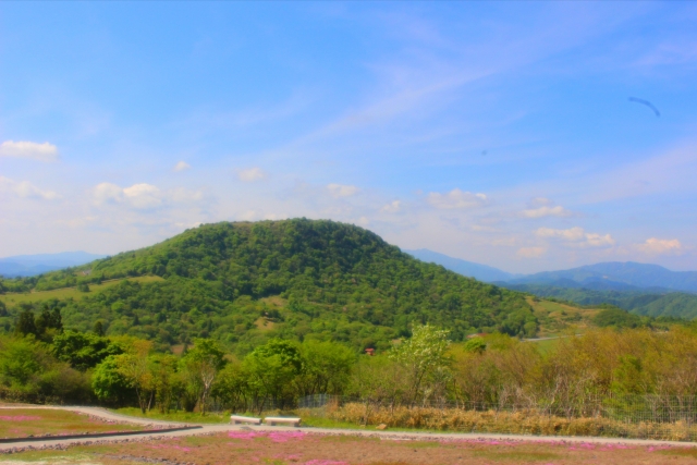 茶臼山高原