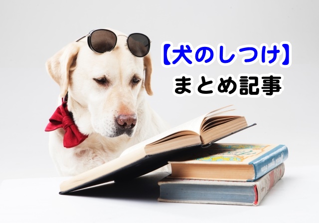 犬しつけ記事まとめ