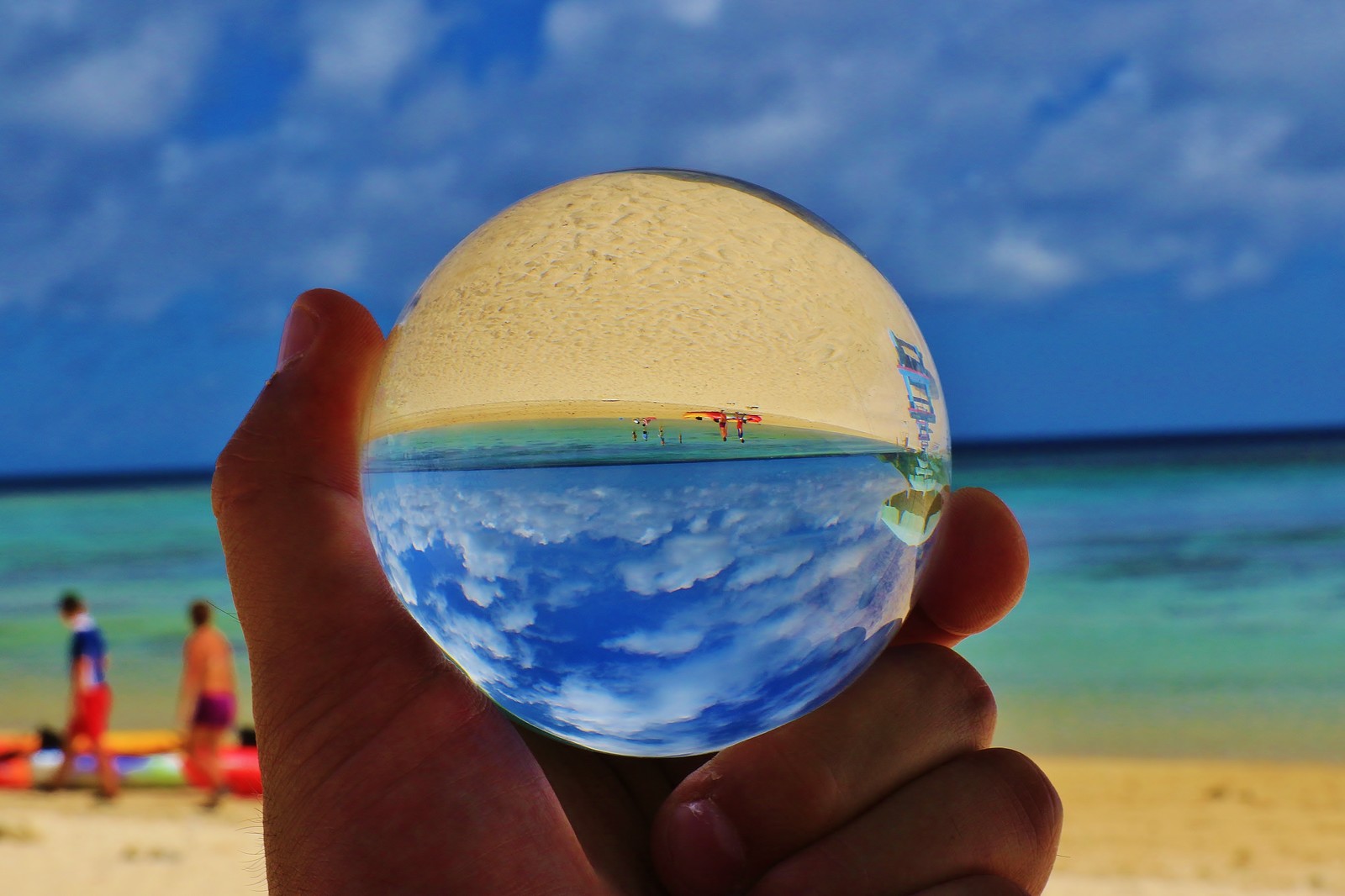 海