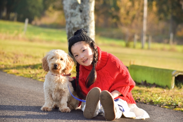 犬との信頼関係を取り戻すための３つのポイント 噛む吠える理由は何 一姫二太郎ママ セイル のてんやわんや毎日 一姫二太郎ママ セイル のてんやわんや毎日