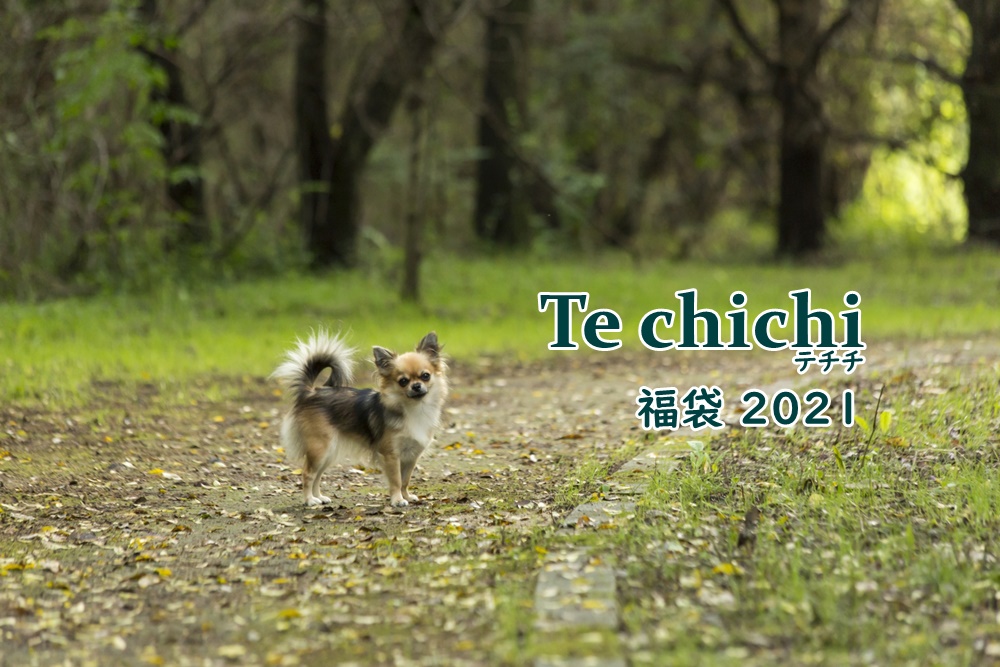 テチチ福袋2021